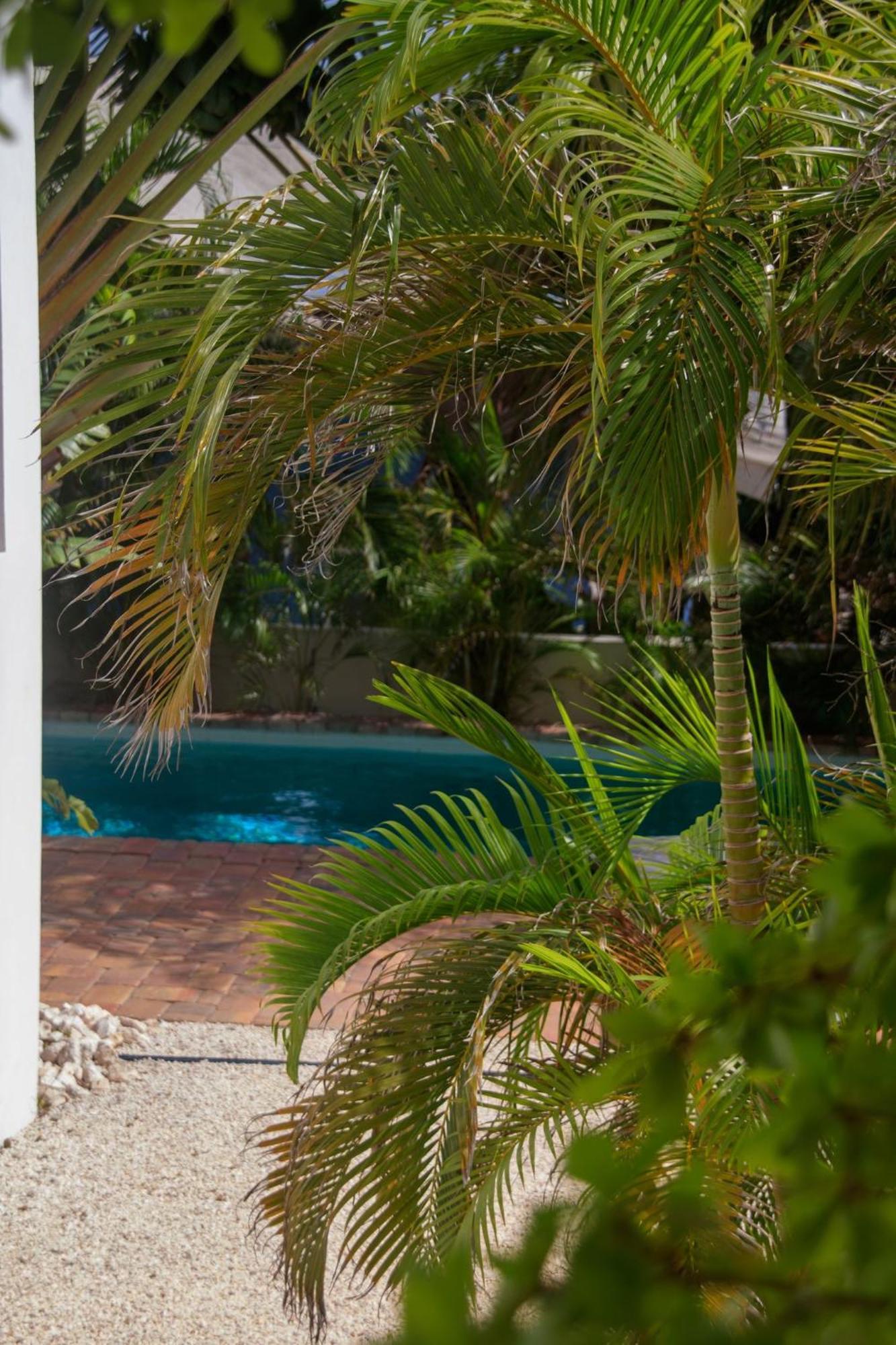 Major. Suites Curacao Willemstad Extérieur photo